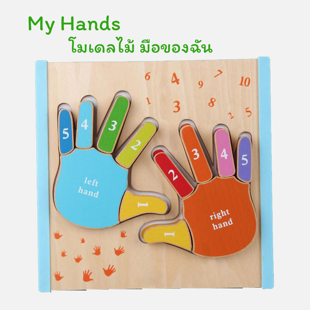 My Hands โมเดลไม้ มือของฉัน